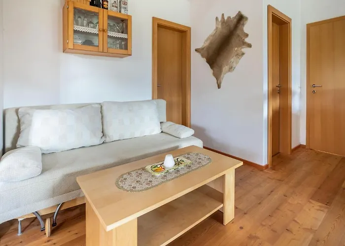 Apartament In Near Slopes